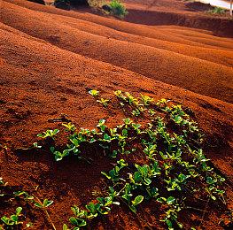 英国最新一周实体游戏排行：《碧海黑帆》首发第四